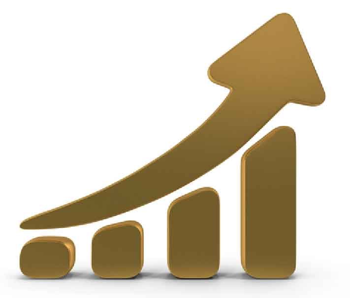 Malfex International LLC - Shares